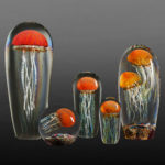 Richard Satava - Pacific Jellyfish Collection