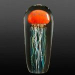 Richard Satava - Medium Pacific Jellyfish