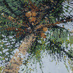 Palm Reflection, 48x36